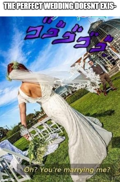 THE PERFECT WEDDING DOESNT EXIS- | image tagged in idk | made w/ Imgflip meme maker