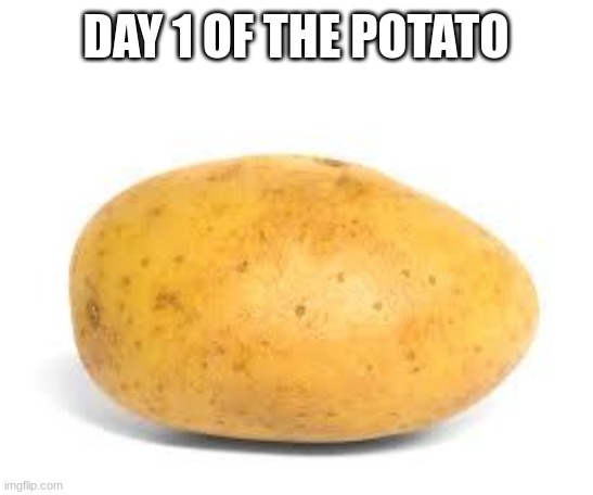 Potato | DAY 1 OF THE POTATO | image tagged in potato | made w/ Imgflip meme maker