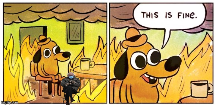 Bernie | image tagged in memes,this is fine | made w/ Imgflip meme maker