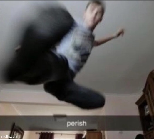 perish | image tagged in perish | made w/ Imgflip meme maker