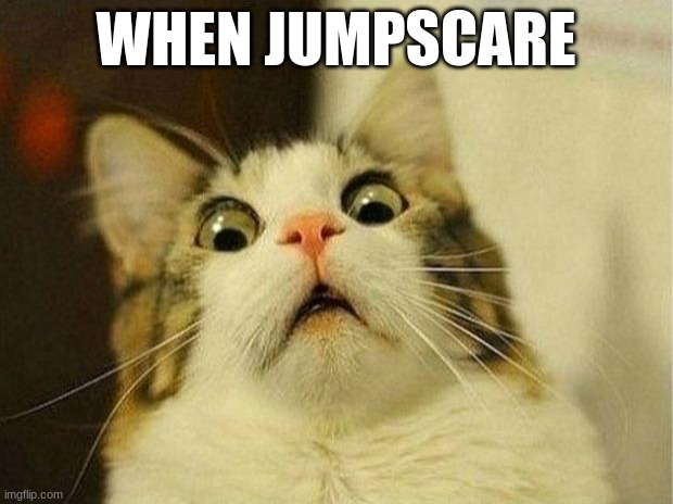 when jumpscare | WHEN JUMPSCARE | image tagged in memes,scared cat | made w/ Imgflip meme maker