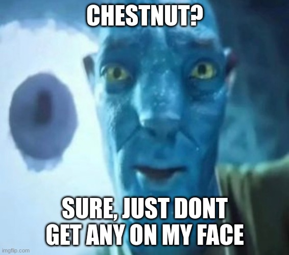 Avatar guy | CHESTNUT? SURE, JUST DONT GET ANY ON MY FACE | image tagged in avatar guy | made w/ Imgflip meme maker