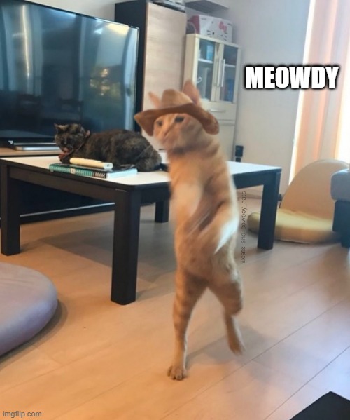 Cowboy Cat | MEOWDY | image tagged in cowboy cat | made w/ Imgflip meme maker