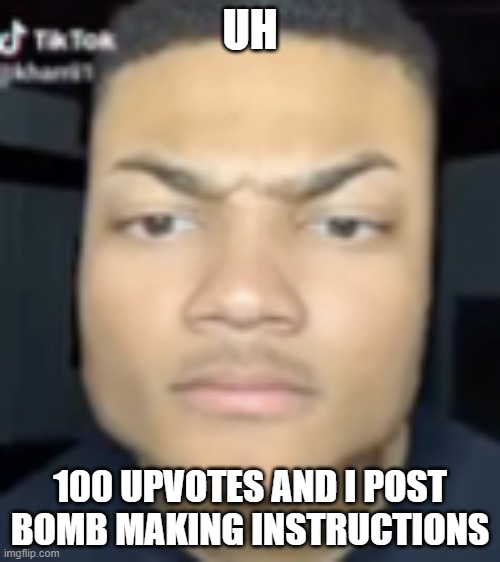 fr tho | UH; 100 UPVOTES AND I POST BOMB MAKING INSTRUCTIONS | image tagged in minecraft head guy | made w/ Imgflip meme maker