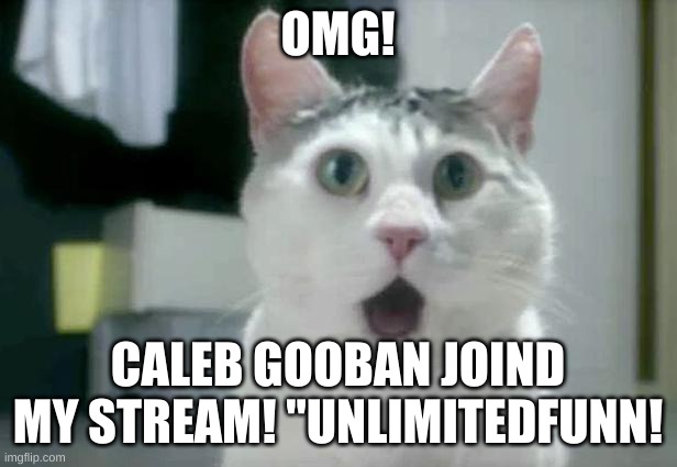 check it urself ;) | OMG! CALEB GOOBAN JOIND MY STREAM! "UNLIMITEDFUNN! | image tagged in memes,omg cat | made w/ Imgflip meme maker