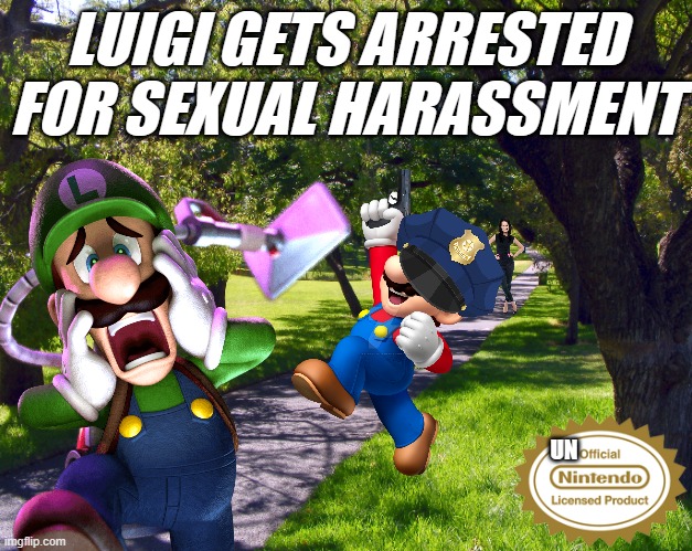 Luigi Gets Arrested For Sexual Harassment | LUIGI GETS ARRESTED FOR SEXUAL HARASSMENT; UN | image tagged in luigi,super mario,mario,sexual harassment,arrested | made w/ Imgflip meme maker