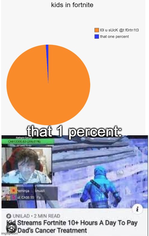 proof that not all fortnite kids are toxic | that 1 percent: | image tagged in memes,fortnite,wholesome,pie charts,oh wow are you actually reading these tags,stop reading the tags | made w/ Imgflip meme maker