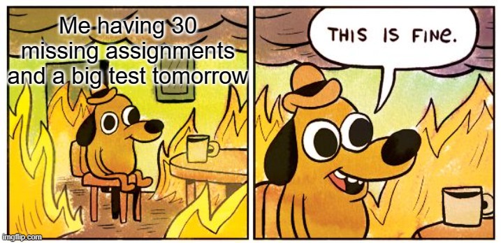 This is fine | Me having 30 missing assignments and a big test tomorrow | image tagged in memes,this is fine,homework | made w/ Imgflip meme maker