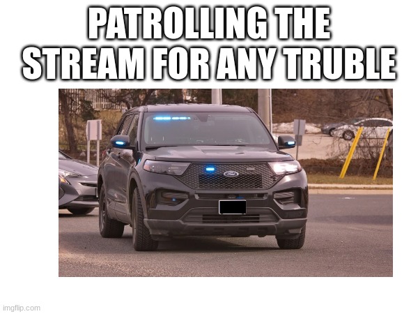 PATROLLING THE STREAM FOR ANY TRUBLE | made w/ Imgflip meme maker