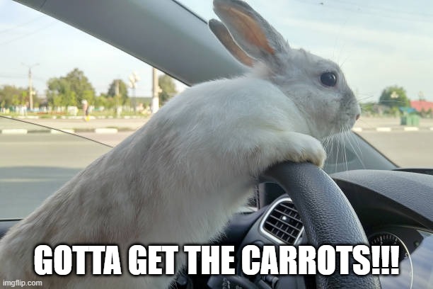 Carrot Run | GOTTA GET THE CARROTS!!! | image tagged in funny bunny | made w/ Imgflip meme maker
