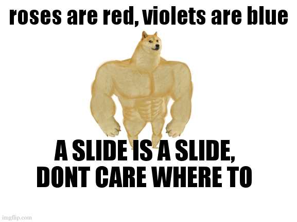 Blank White Template | roses are red, violets are blue A SLIDE IS A SLIDE,
DONT CARE WHERE TO | image tagged in blank white template | made w/ Imgflip meme maker