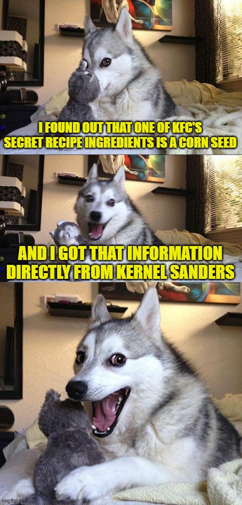Bad Pun Dog | I FOUND OUT THAT ONE OF KFC'S SECRET RECIPE INGREDIENTS IS A CORN SEED; AND I GOT THAT INFORMATION DIRECTLY FROM KERNEL SANDERS | image tagged in memes,bad pun dog | made w/ Imgflip meme maker