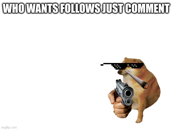WHO WANTS FOLLOWS JUST COMMENT | image tagged in cute | made w/ Imgflip meme maker
