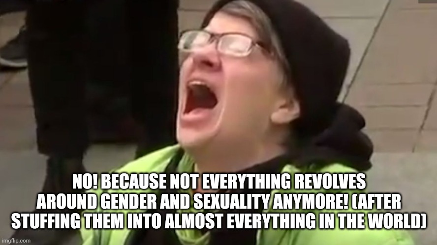 Screaming Liberal  | NO! BECAUSE NOT EVERYTHING REVOLVES AROUND GENDER AND SEXUALITY ANYMORE! (AFTER STUFFING THEM INTO ALMOST EVERYTHING IN THE WORLD) | image tagged in screaming liberal | made w/ Imgflip meme maker