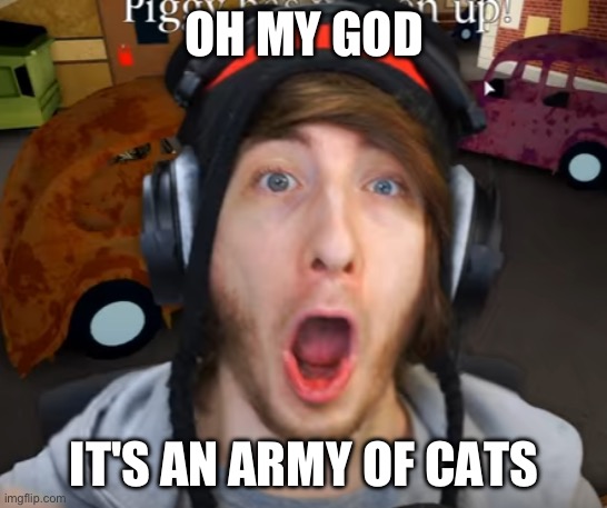 OMG | OH MY GOD IT'S AN ARMY OF CATS | image tagged in omg | made w/ Imgflip meme maker