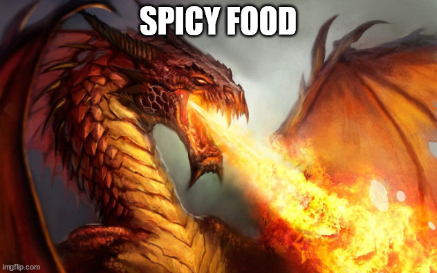 fr | SPICY FOOD | image tagged in fire breathing dragon | made w/ Imgflip meme maker