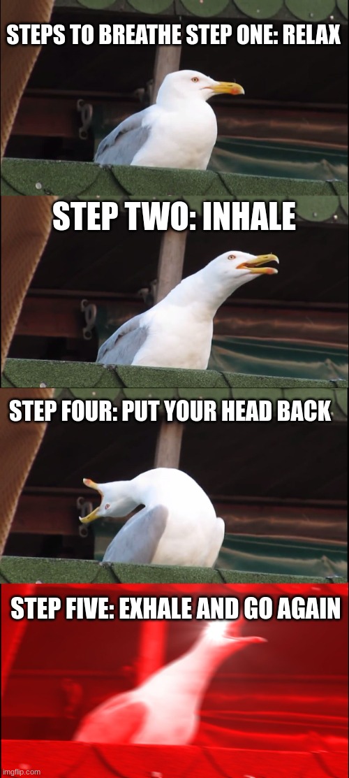 Inhaling Seagull Meme | STEPS TO BREATHE STEP ONE: RELAX; STEP TWO: INHALE; STEP FOUR: PUT YOUR HEAD BACK; STEP FIVE: EXHALE AND GO AGAIN | image tagged in memes,inhaling seagull | made w/ Imgflip meme maker