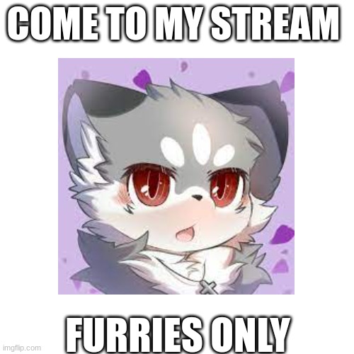COME TO MY STREAM; FURRIES ONLY | image tagged in furry | made w/ Imgflip meme maker