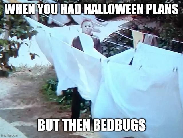 Bedbugs ruin Halloween | WHEN YOU HAD HALLOWEEN PLANS; BUT THEN BEDBUGS | image tagged in bedbugs,halloween,michael myers | made w/ Imgflip meme maker
