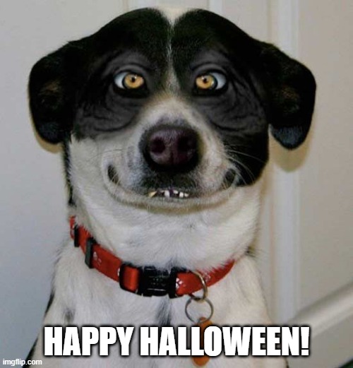 Creepy Mutt | HAPPY HALLOWEEN! | image tagged in funny dogs | made w/ Imgflip meme maker