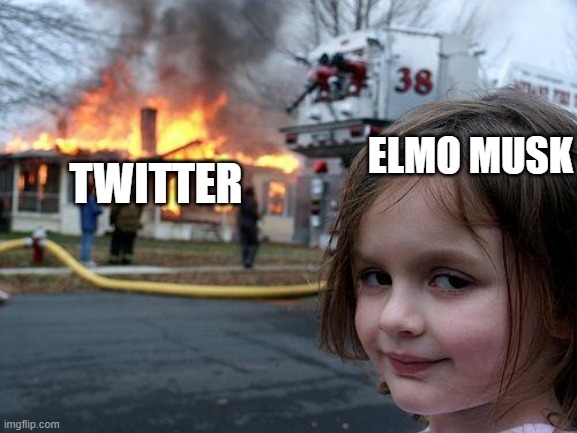 Disaster Girl | TWITTER; ELMO MUSK | image tagged in memes,disaster girl | made w/ Imgflip meme maker