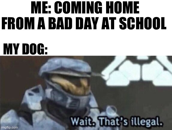 W dogs | ME: COMING HOME FROM A BAD DAY AT SCHOOL; MY DOG: | image tagged in wait that s illegal | made w/ Imgflip meme maker