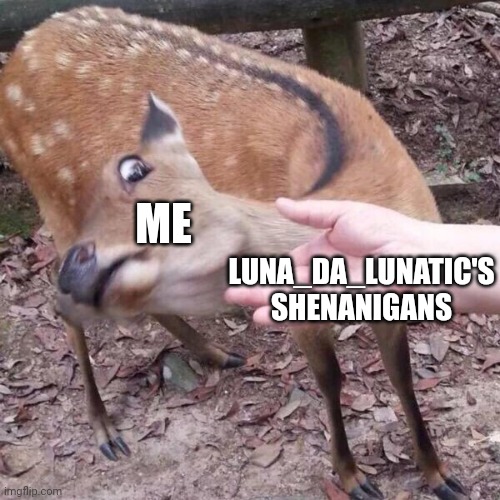 nope | ME LUNA_DA_LUNATIC'S SHENANIGANS | image tagged in nope | made w/ Imgflip meme maker