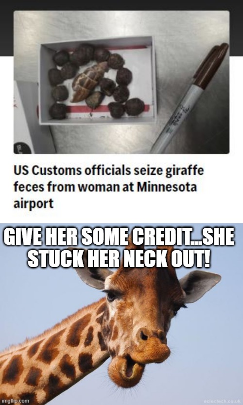Giraffe Poo | GIVE HER SOME CREDIT...SHE STUCK HER NECK OUT! | image tagged in comeback giraffe | made w/ Imgflip meme maker