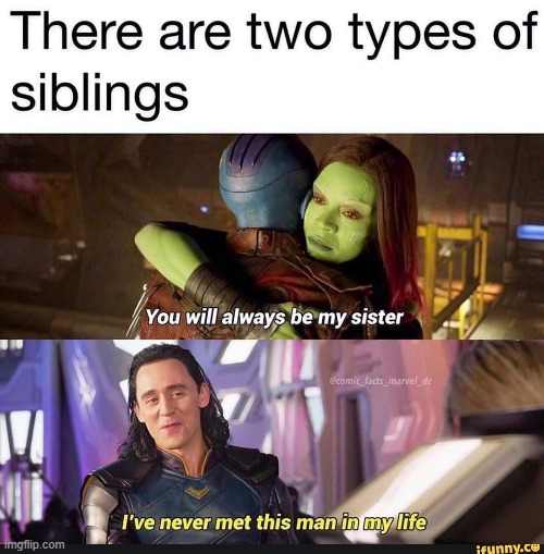 as one of 4 this do be how it is hahaha | image tagged in loki,gamora,nebula,siblings,barney will eat all of your delectable biscuits | made w/ Imgflip meme maker