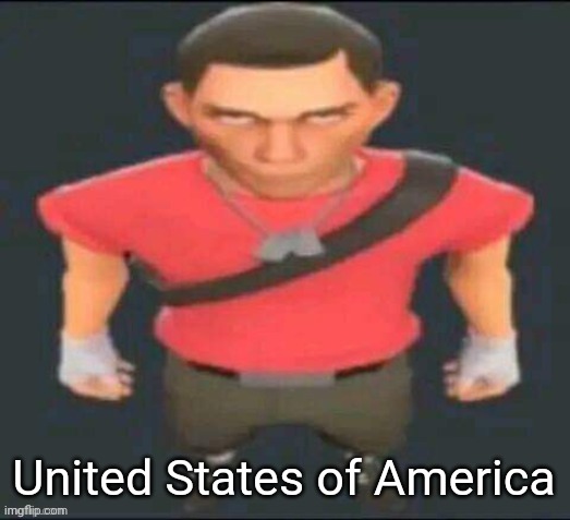 Scout stare | United States of America | image tagged in scout stare | made w/ Imgflip meme maker