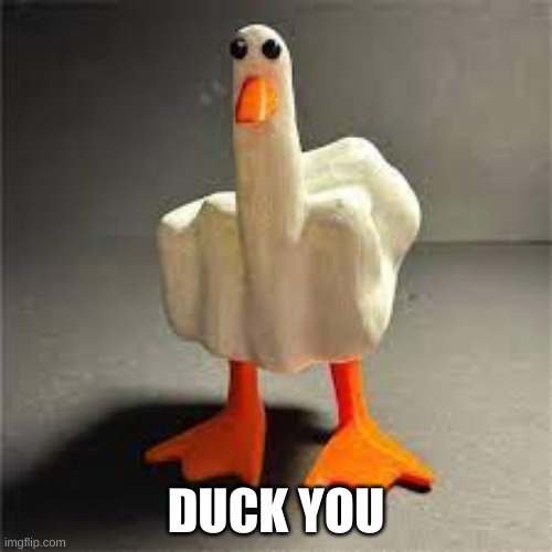 duck you | DUCK YOU | image tagged in duck | made w/ Imgflip meme maker