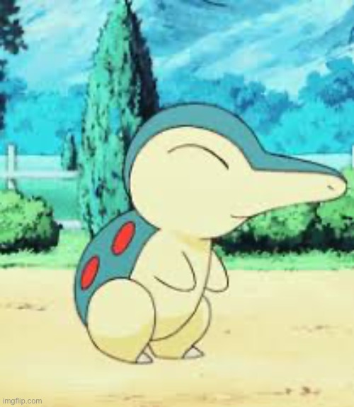 Cyndaquill | image tagged in cyndaquill | made w/ Imgflip meme maker