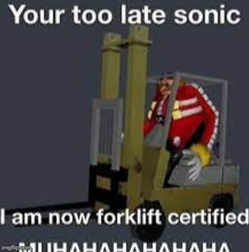 Took the hit. | image tagged in your too late sonic | made w/ Imgflip meme maker