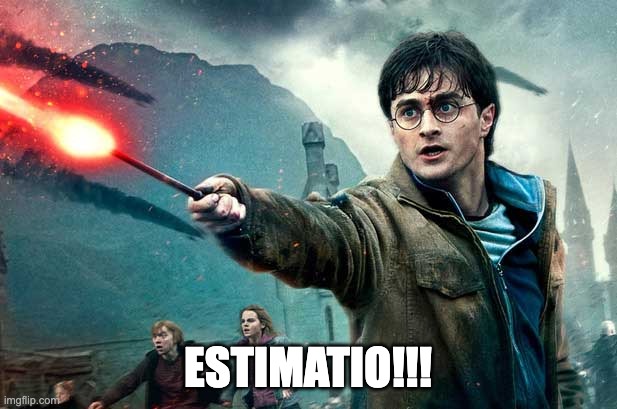 Harry Potter wand fire | ESTIMATIO!!! | image tagged in harry potter wand fire | made w/ Imgflip meme maker