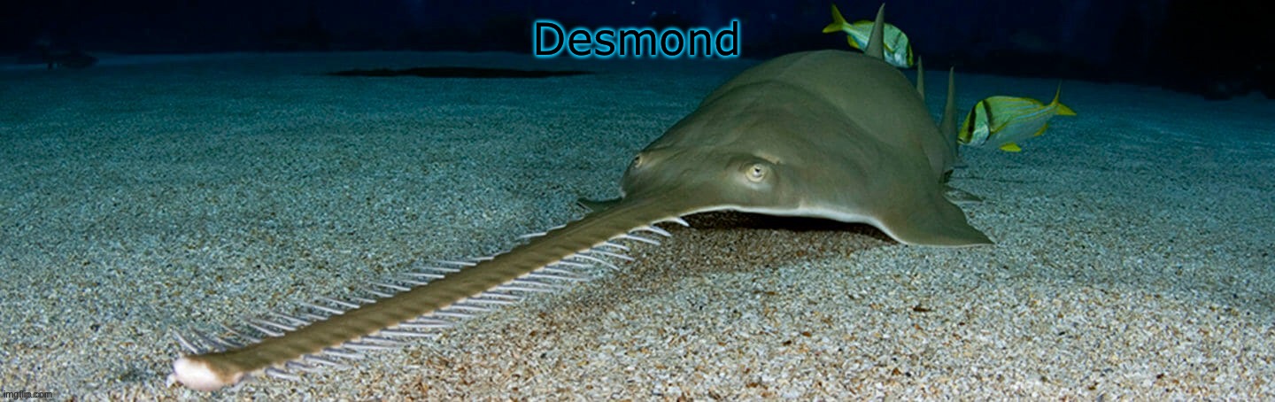 Cool sawfish | Desmond | image tagged in cool sawfish | made w/ Imgflip meme maker