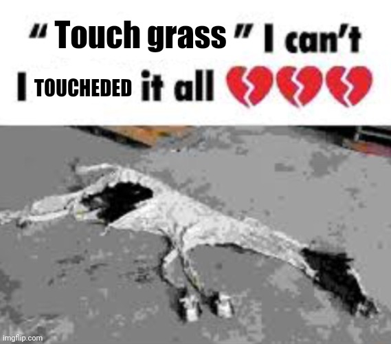 I can't I X it all | Touch grass; TOUCHEDED | image tagged in i can't i x it all | made w/ Imgflip meme maker