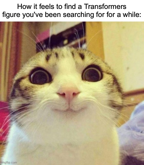 Smiling Cat Meme | How it feels to find a Transformers figure you've been searching for for a while: | image tagged in memes,smiling cat,transformers | made w/ Imgflip meme maker