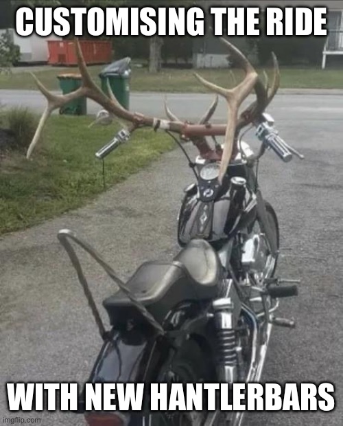 Custom Hog | CUSTOMISING THE RIDE; WITH NEW HANTLERBARS | image tagged in antlers,bike,you can't handle the truth,custom | made w/ Imgflip meme maker