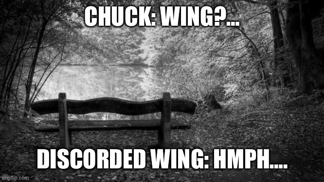 Chuck Meets Discorded Wing | CHUCK: WING?…; DISCORDED WING: HMPH…. | image tagged in black and white bench | made w/ Imgflip meme maker