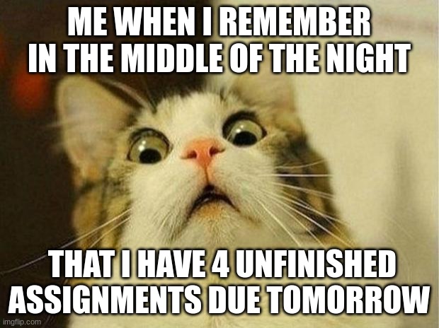 we've all been there | ME WHEN I REMEMBER IN THE MIDDLE OF THE NIGHT; THAT I HAVE 4 UNFINISHED ASSIGNMENTS DUE TOMORROW | image tagged in memes,scared cat,school,school memes,homework | made w/ Imgflip meme maker