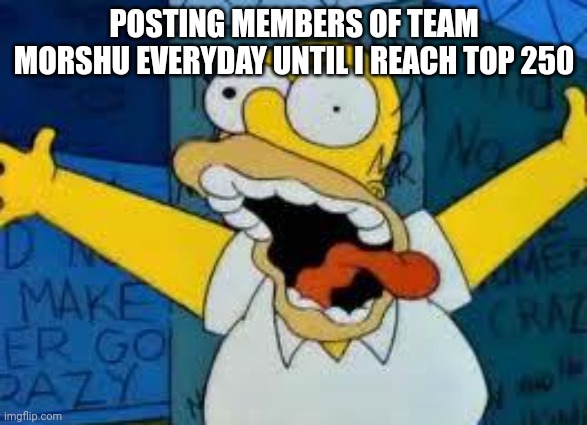 Day 31 | POSTING MEMBERS OF TEAM MORSHU EVERYDAY UNTIL I REACH TOP 250 | image tagged in homer going crazy | made w/ Imgflip meme maker