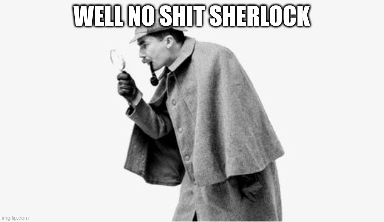 no shit sherlock  | WELL NO SHIT SHERLOCK | image tagged in no shit sherlock | made w/ Imgflip meme maker