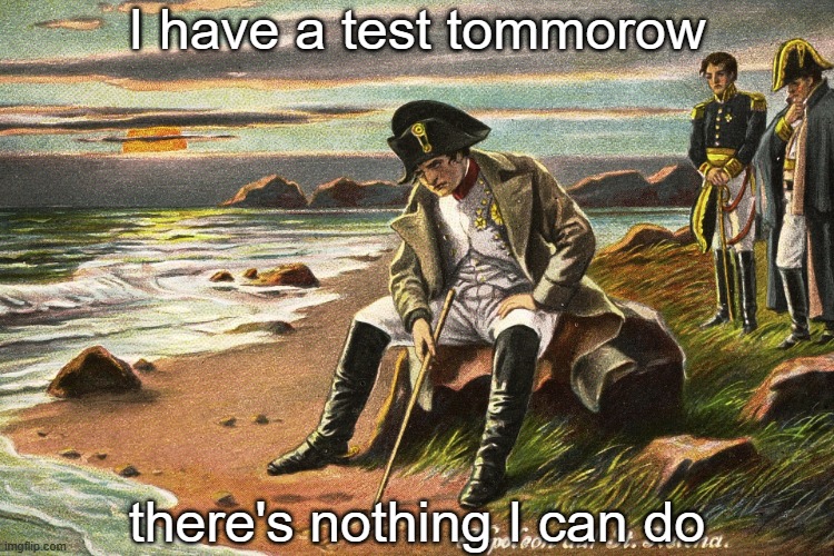 :( | I have a test tommorow; there's nothing I can do | image tagged in there is nothing we can do,test,school,napoleon,oh wow are you actually reading these tags,sad | made w/ Imgflip meme maker