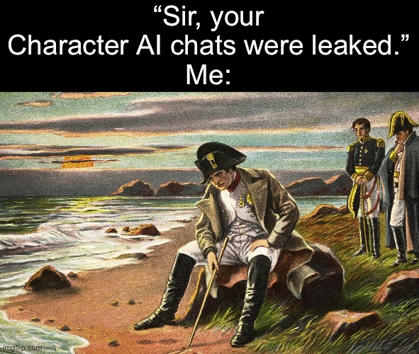 “There is nothing we can do.” | “Sir, your Character AI chats were leaked.”
Me: | image tagged in napoleon | made w/ Imgflip meme maker