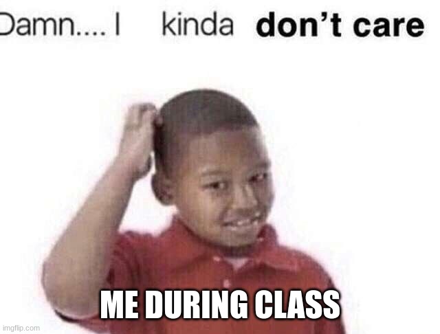 damn i kinda dont care | ME DURING CLASS | image tagged in damn i kinda dont care | made w/ Imgflip meme maker