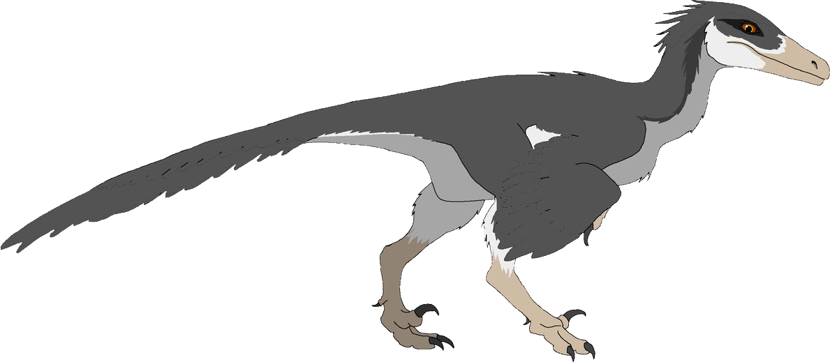 Stenonychosaurus (Female) Blank Meme Template