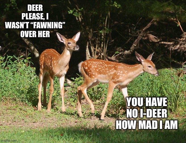Deer jokes | DEER PLEASE, I WASN’T “FAWNING” OVER HER; YOU HAVE NO I-DEER HOW MAD I AM | image tagged in deer | made w/ Imgflip meme maker