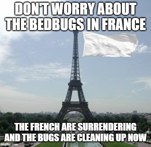 Bed Bugs in France | DON'T WORRY ABOUT THE BEDBUGS IN FRANCE; THE FRENCH ARE SURRENDERING AND THE BUGS ARE CLEANING UP NOW | image tagged in france,bugs,eiffel tower | made w/ Imgflip meme maker