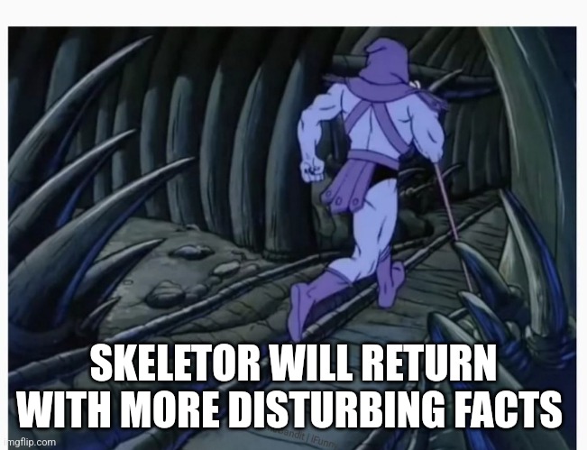 Skeletor Running Away | SKELETOR WILL RETURN WITH MORE DISTURBING FACTS | image tagged in skeletor running away | made w/ Imgflip meme maker