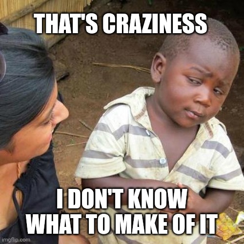Third world skeptical kid | THAT'S CRAZINESS; I DON'T KNOW WHAT TO MAKE OF IT | image tagged in memes,third world skeptical kid | made w/ Imgflip meme maker